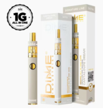 Dime Industries - AIO - Cantaloupe Dream 1g